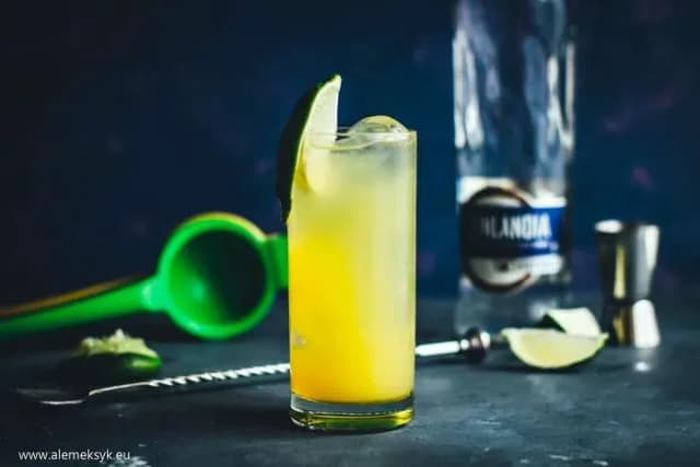 Pyszne drinki z wódką kokosową, które zachwycą Twoich gości Pyszne drinki z wódką kokosową, które zachwycą Twoich gości